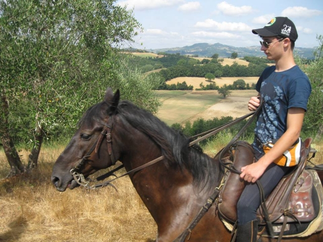  Montar uno de nuestros maremmani 
